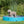 Piscine pour chiens, bleu