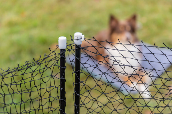 Mobiler Zaun für Hunde, 15 m, schwarz