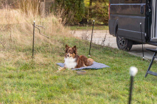 Mobiler Zaun für Hunde, 15 m, schwarz