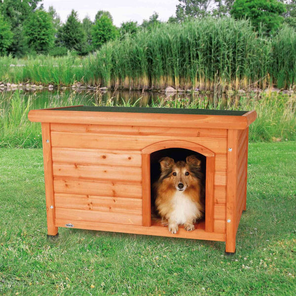 natura Flat roof dog house