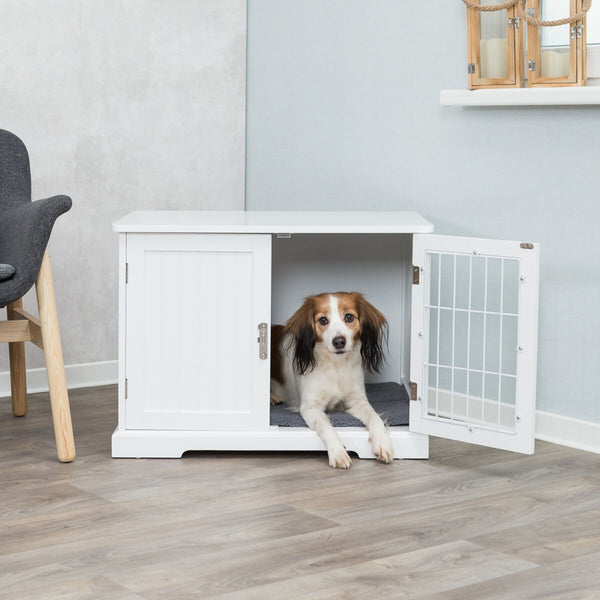 Home Chenil pour chiens et chats