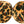 4 leopard print play balls