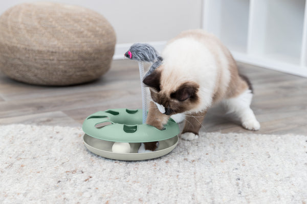 Gaming ring with fur mouse