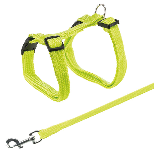 Cat harness with leash, nylon