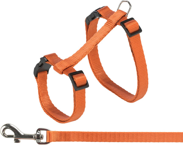 Cat harness with leash, 27-45 cm/10 mm, 1.20 m