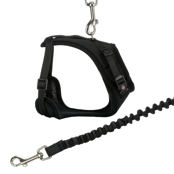 Mesh Y-harness, cat, with elastic leash, 39-60cm/10mm,