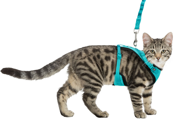 Mesh Y-harness, cat, with elastic leash, 39-60cm/10mm,