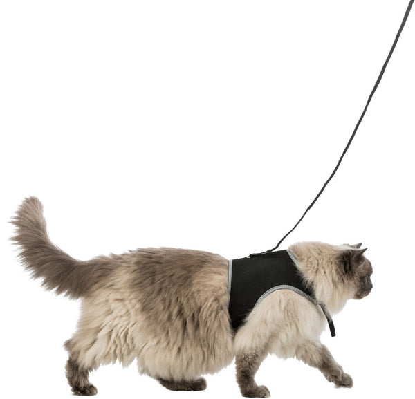 Soft harness with leash, cat, XL, 1.20m, black