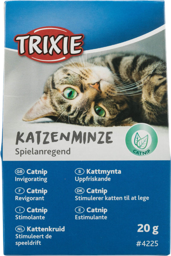 Katzenminze