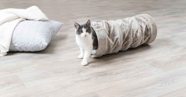 Tunnel de jeu, peluche, ø 22 × 60 cm, gris