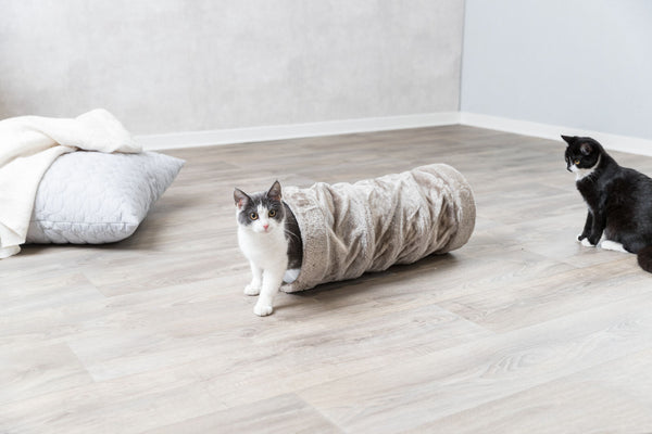 Tunnel de jeu, peluche, ø 22 × 60 cm, gris