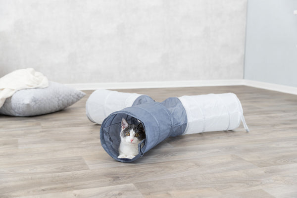 Cat play tunnel