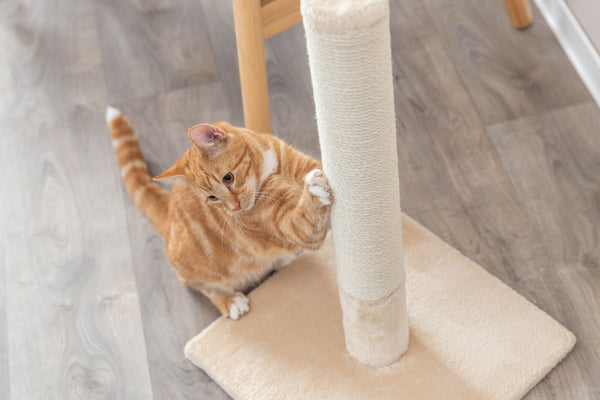 Batres scratching post, 62cm, beige