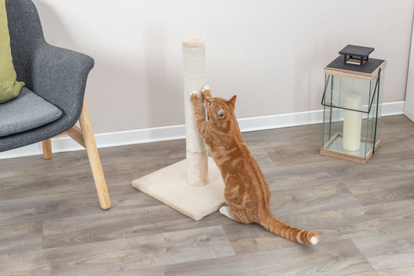 Batres scratching post, 62cm, beige