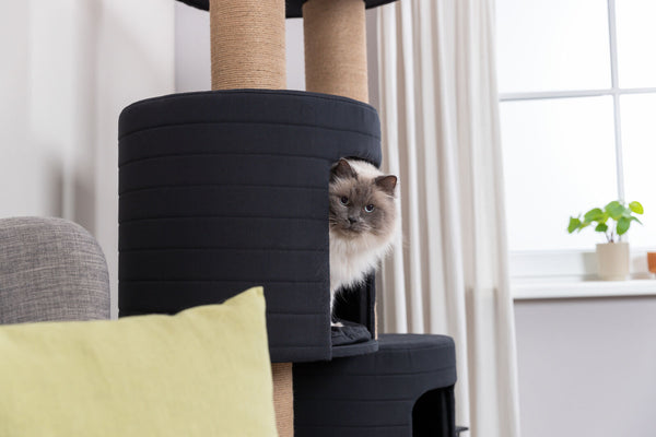 Teites XXL cat tree, black, 2 cart.