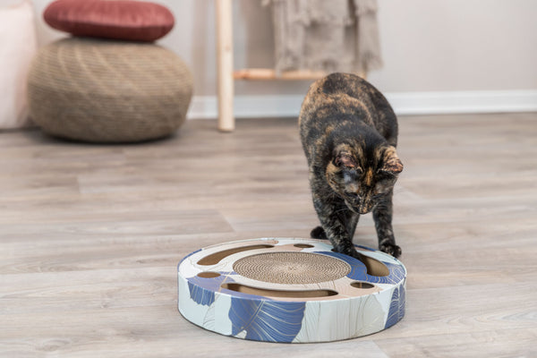 Tambour à gratter avec jouet, ø 33cm, bleu