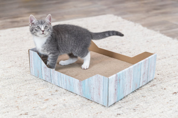 Scratching bed, cardboard, catnip, 45 × 12 × 33 cm, turquoise