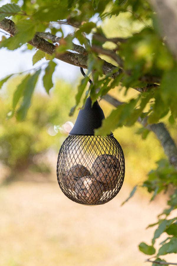 Food dispenser for tit balls/peanuts, 1,400 ml/ø 14×29 cm