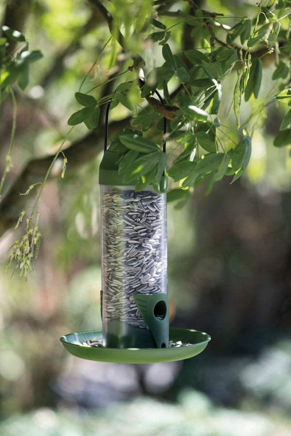 Colonne d'alimentation extérieure