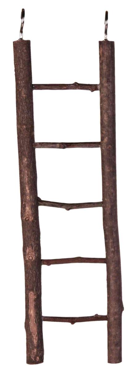 Natural wood ladder