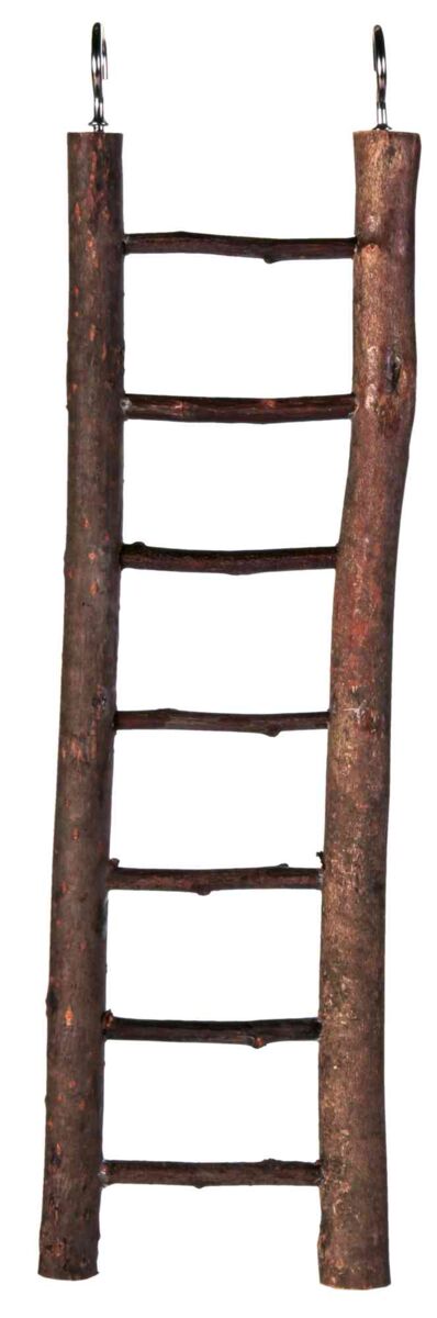 Natural wood ladder