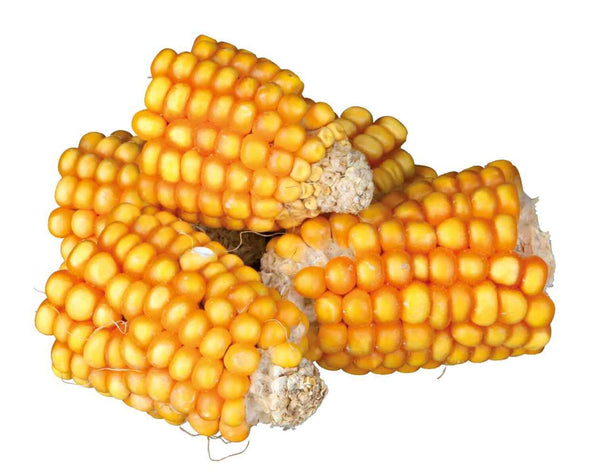 Corn cob pieces