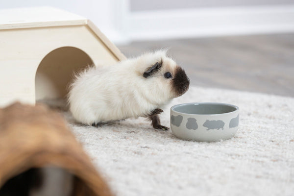 Ceramic bowl with pattern