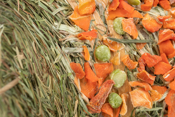 Hanging hay pendulum with peas + carrot