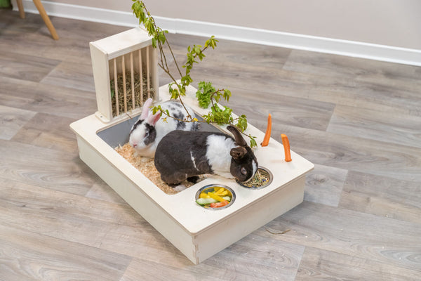 Feeding station with bowls/hay rack, wood