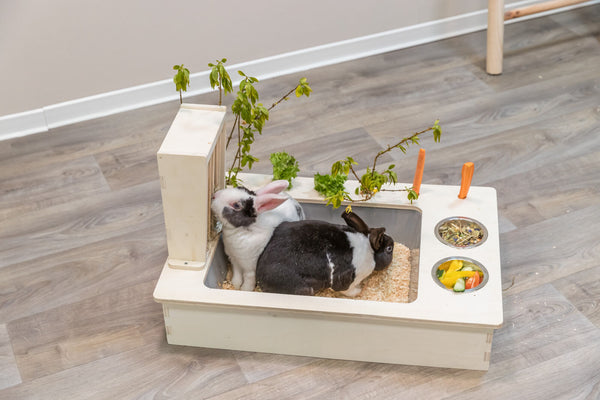 Feeding station with bowls/hay rack, wood