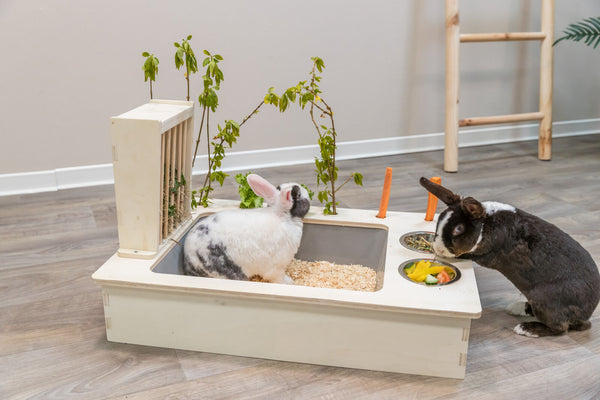 Feeding station with bowls/hay rack, wood