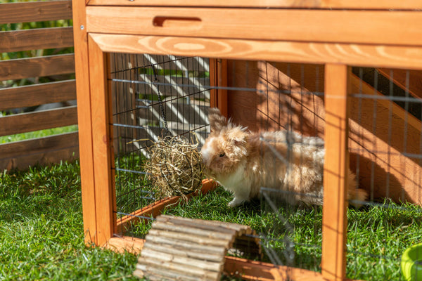 natura clapier à lapins avec enclos extérieur, brun