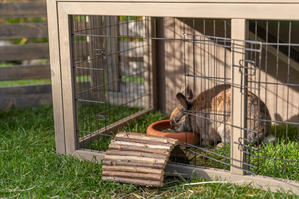 natura Small animal hutch with outdoor enclosure