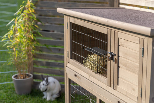 natura Small animal hutch with outdoor enclosure