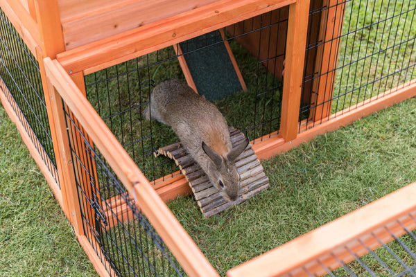 Natura Kaninchenstall mit Freigehege, braun