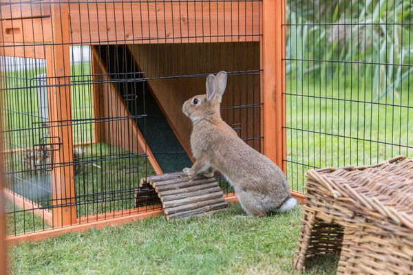 natura clapier à lapins avec enclos extérieur, brun