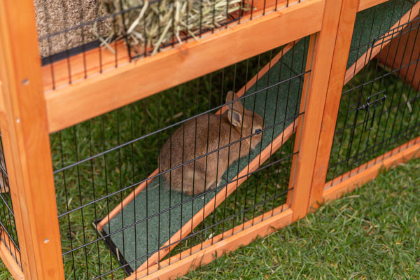 natura clapier à lapins XL, 2 étages, 135×115×112cm, 2 cartons