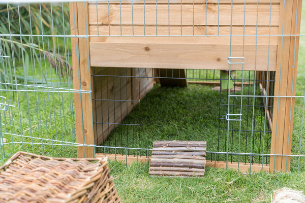 natura rabbit hutch with free access, 151x107x80cm