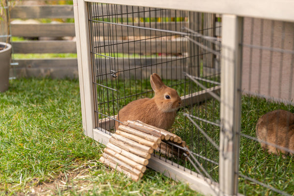 natura clapier pour petits animaux avec enclos, gris/brun