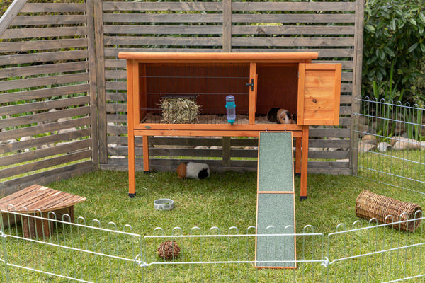 natura rabbit hutch