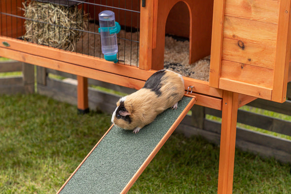 natura rabbit hutch