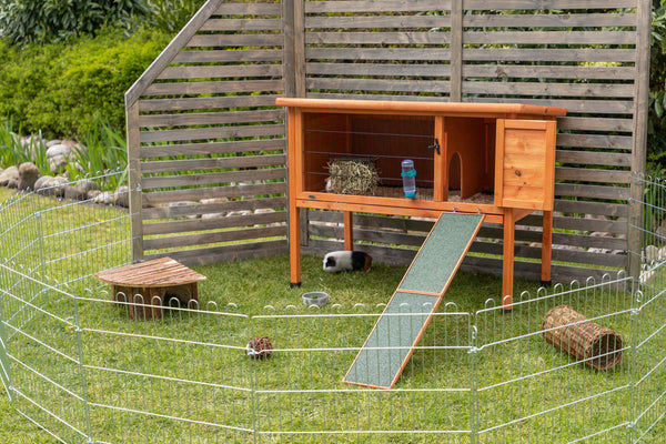 natura rabbit hutch