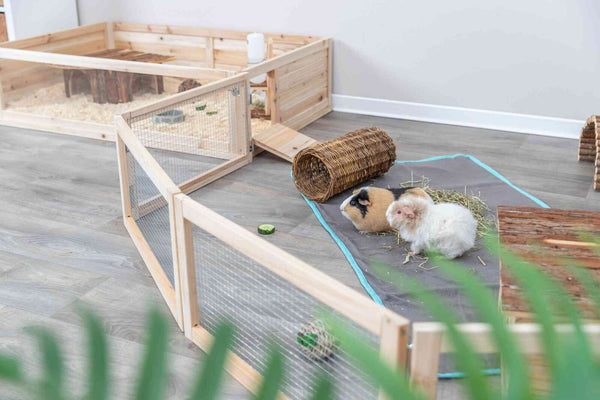 Indoor enclosure, guinea pigs, 4 elements at 60×30cm