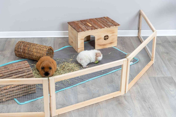 Indoor enclosure, guinea pigs, 4 elements at 60×30cm