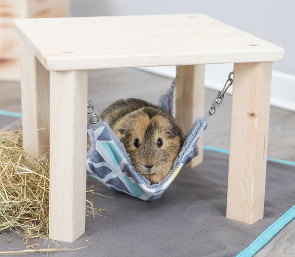 Sunny Hammock Shelter