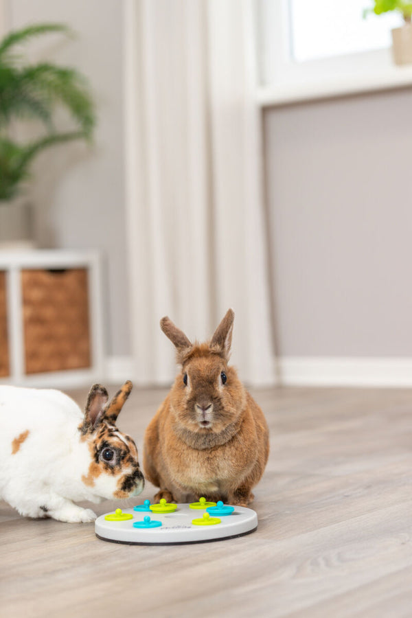 Snack Board Rabbit Game, Plastic