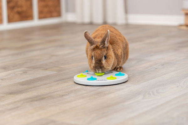 Snack Board Rabbit Game, Plastic