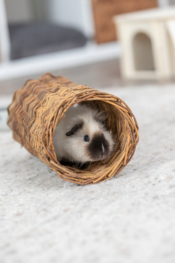 Wicker tunnel