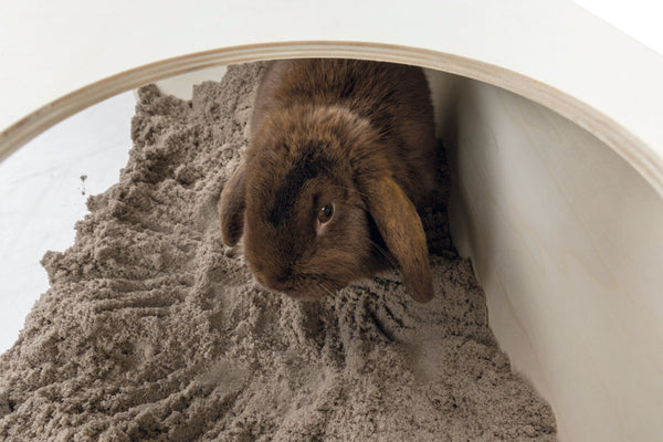 Rabbit sandbox, 58×30×38cm