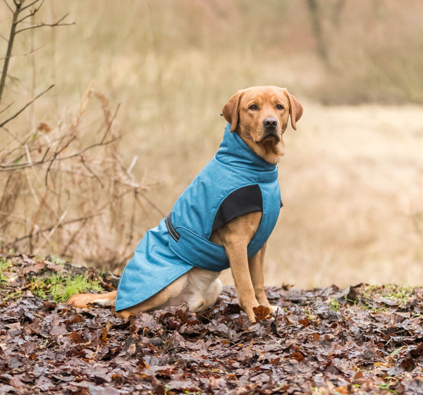 manteau d'hiver Riom, bleu